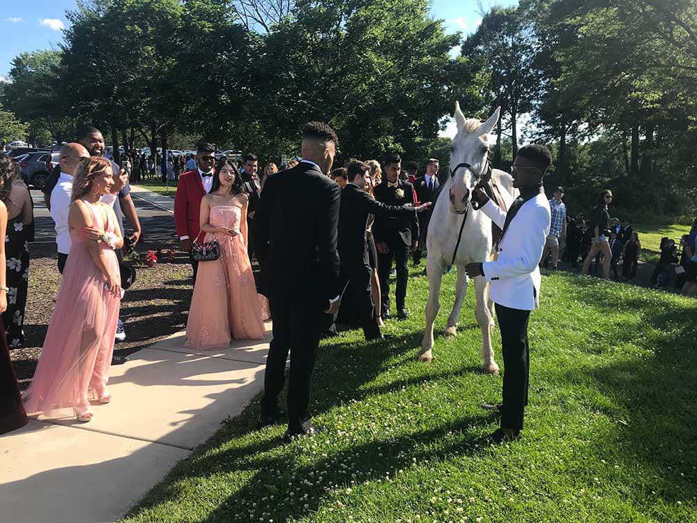 Prom group photo with horse