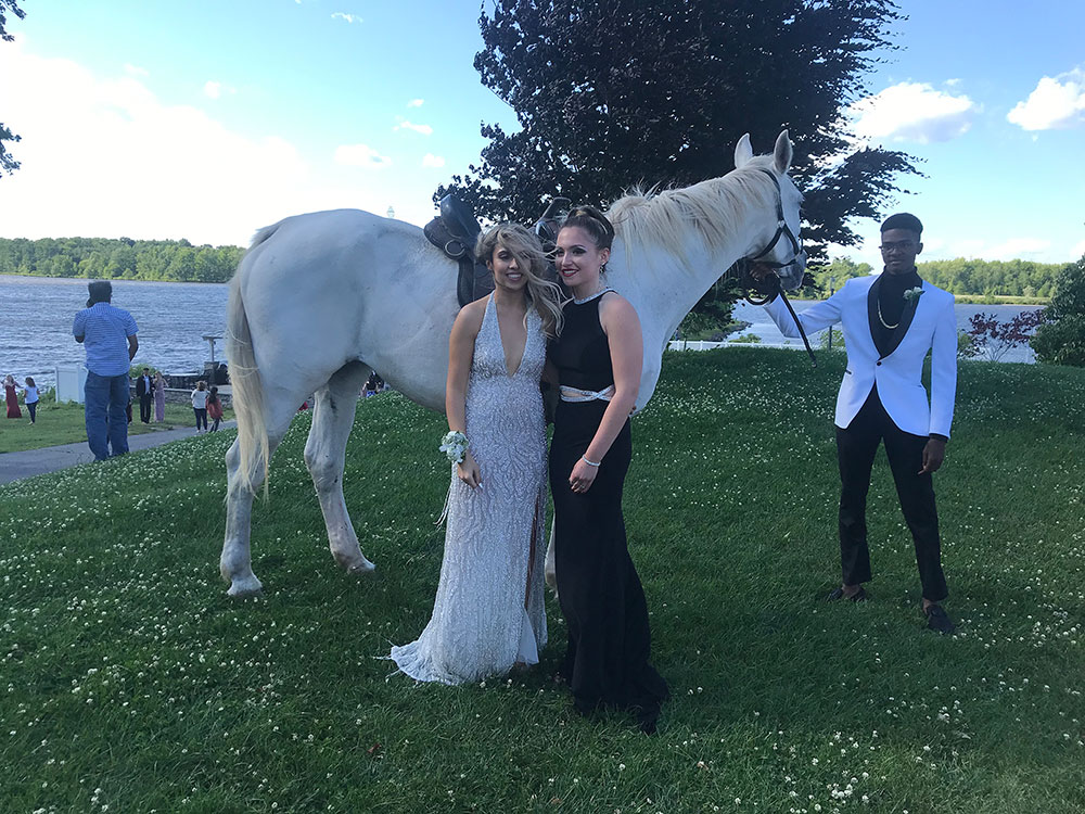 White horse photoshoot at the prom