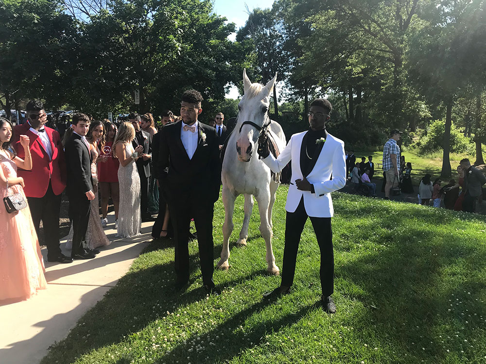 At the promo with a horse