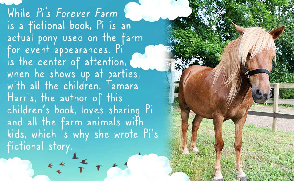 Pi's Forever Farm is based on a real pony named Pi