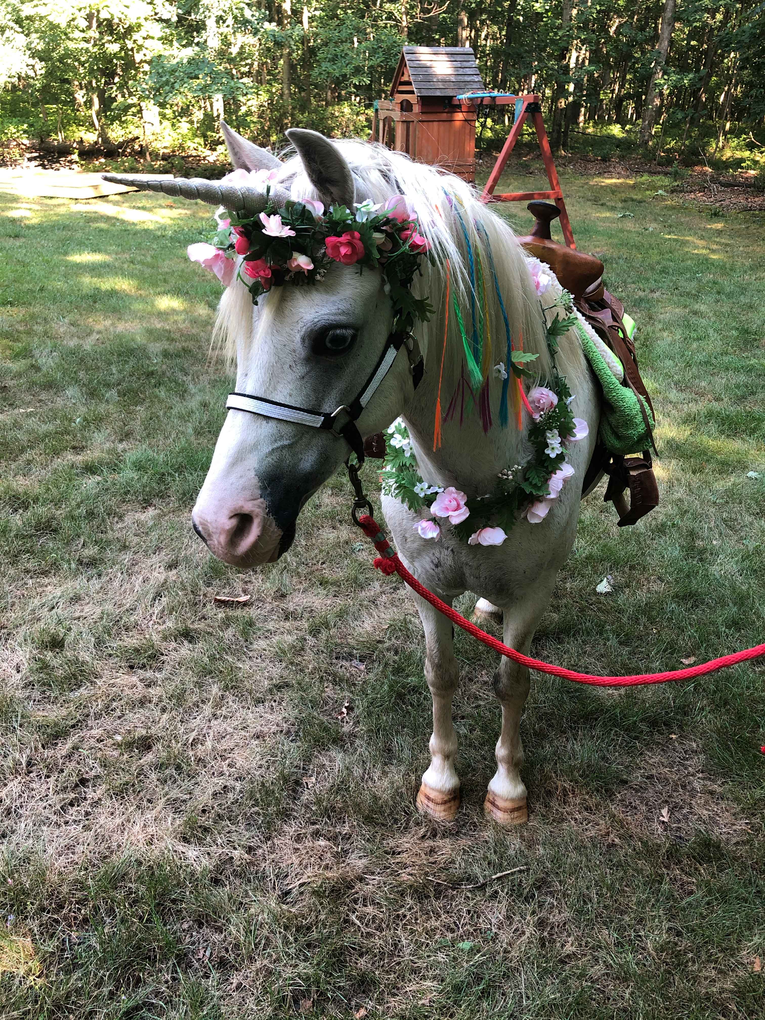 Unicorn Rental with Clover in NJ, PA, Staten Island
