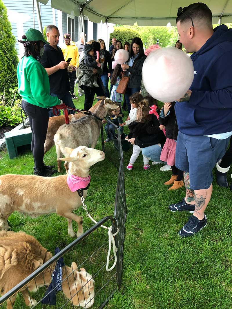 Petting Zoo For Parties & Birthdays - Northern & Central, NJ | New Joy