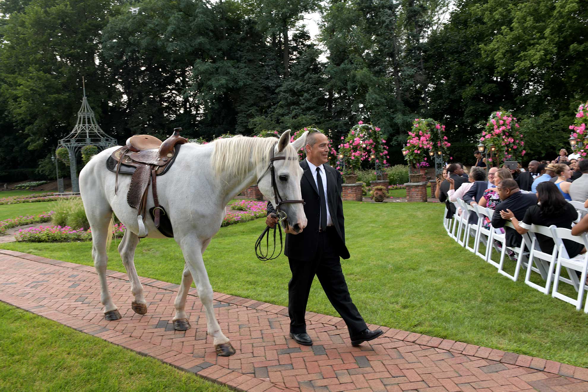 Walking horse down isle at wedding