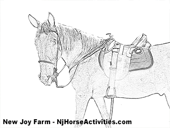 Coloring Page of a Saddled Horse